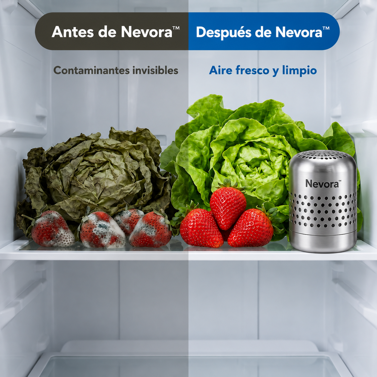 Nevora™Purificador de Aire